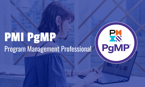 PMI PgMP Program Management Professional